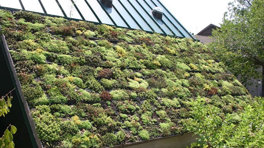 Green Roofs in New York City
