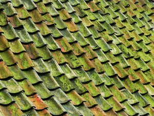 Rubberized-Roofing-3